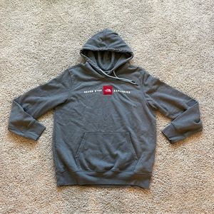 The north face hoodie size large mens gray